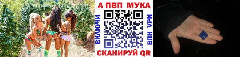 KRAKEN ТОР  цена наркотик  Дальнегорск  А ПВП кристаллы 