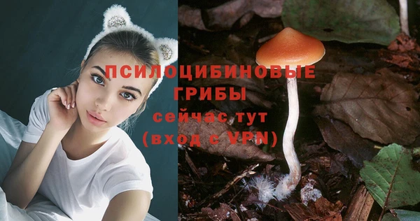 гашик Володарск