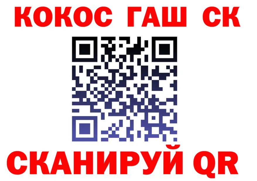 APVP VHQ вход площадка МЕГА Дальнегорск