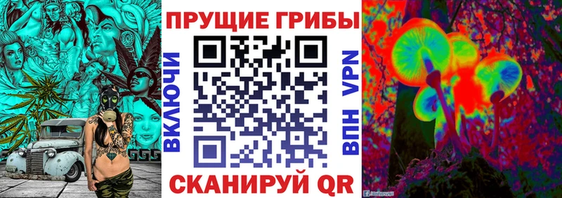 Галлюциногенные грибы GOLDEN TEACHER  Дальнегорск 
